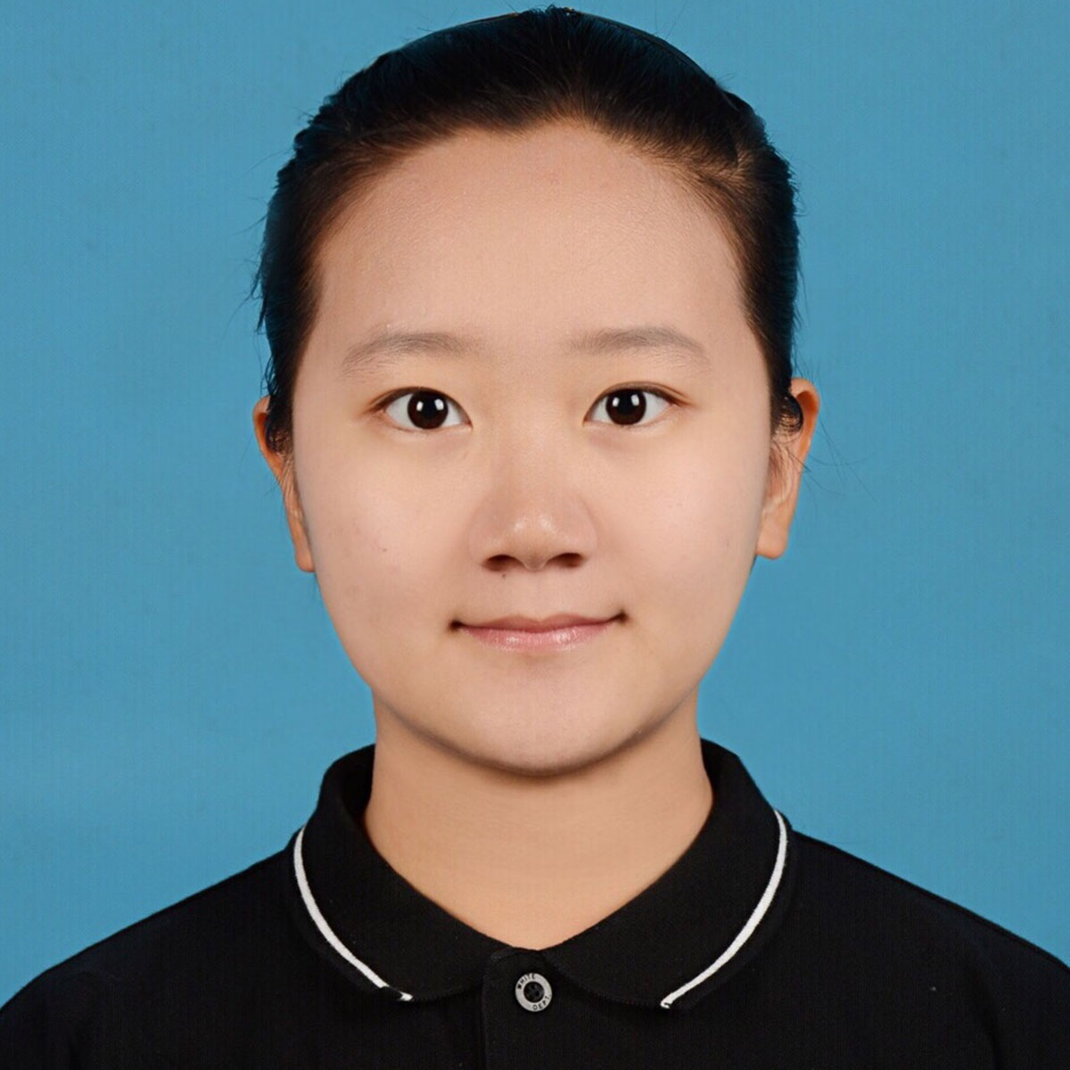Qingyang Li